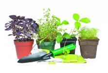 Тут изображение Товары для дачи, сада и огорода в Екатеринбурге