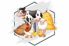 Зоотовары в Екатеринбурге