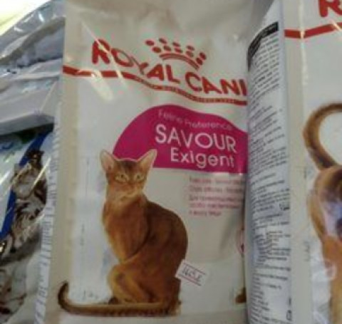 Тут изображение Royal SAVOUR EXIGENT