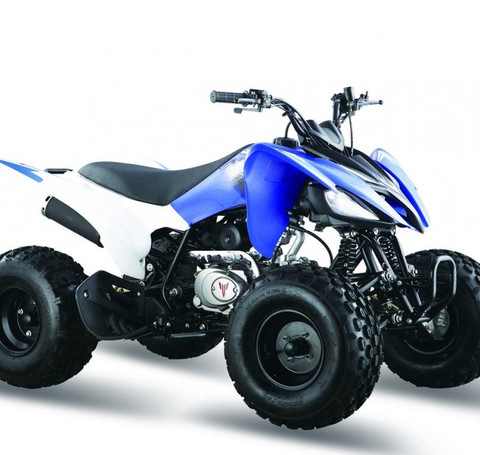 Тут изображение Квадроцикл Pantera 125 Sport