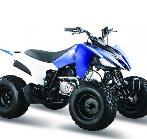 Тут изображение Квадроцикл Pantera 200 CVT
