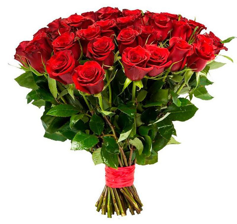 Тут изображение Роза Урал красная 60 см.